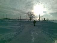 Прилиманське з panoramio.com