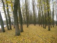 Спаське з panoramio.com