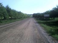 Ratush - Latest photos