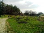 Лисичанський з panoramio.com