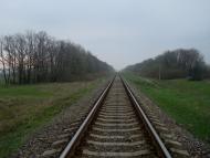 Грибенинка з panoramio.com