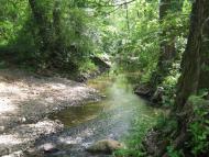 Стрипа з panoramio.com