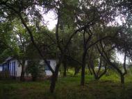 Єлизаветівка з panoramio.com