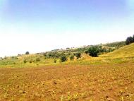 Грабарівка з panoramio.com