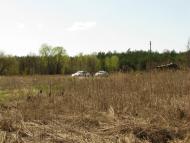 Кованьківка з panoramio.com