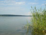 Борщова з panoramio.com