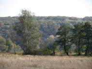 Морозівка з panoramio.com