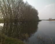 Шепелівка з panoramio.com