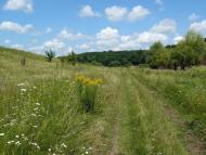 Сніжки з panoramio.com