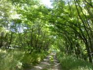 Пристроми з panoramio.com