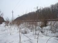 Шарки з panoramio.com