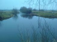 Комарове з panoramio.com