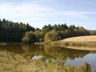 Комарів з panoramio.com