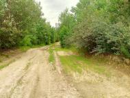 Новомильськ з panoramio.com