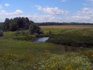 Мізяки - Останні фото