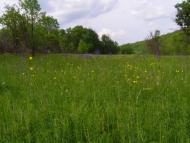 Куряжанка з panoramio.com