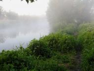 Шубіне з panoramio.com