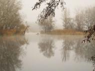 Червоний Донець з panoramio.com - Червоный Донец