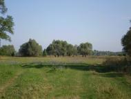 Перевіз з panoramio.com