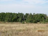 Шимшинівка з panoramio.com