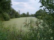 Чорний Острів з panoramio.com