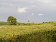 Підцурків з panoramio.com