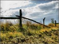 Рибці з panoramio.com