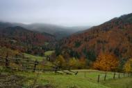 Турички з panoramio.com