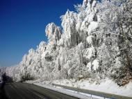 Мігово з panoramio.com