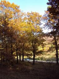 Веряця з panoramio.com