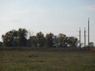 Лаврики з panoramio.com