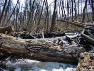 Ясенівський з panoramio.com