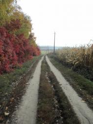 Лаврики з panoramio.com