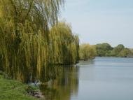 Терешківці з panoramio.com