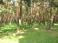 Гончарівка з panoramio.com