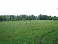 Погибляк з panoramio.com