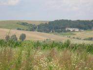 Журів з panoramio.com - Zhuriv