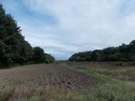 Зятківці з panoramio.com