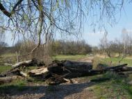 Линея з panoramio.com