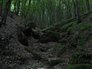 Гораївка з panoramio.com