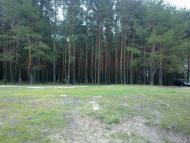 Линея з panoramio.com