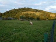 Шум'яч з panoramio.com