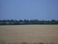 Болгарка з panoramio.com