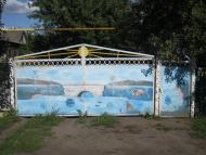 Шепелівка з panoramio.com