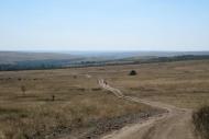 Велика Мартинівка з panoramio.com