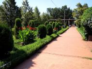 Мічуріна з panoramio.com - Michurina