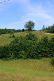 Сасівка з panoramio.com