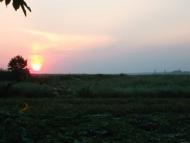 Польове з panoramio.com