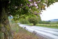 Павлів з panoramio.com