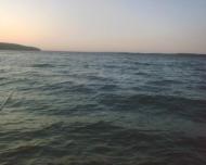 Мартове з panoramio.com